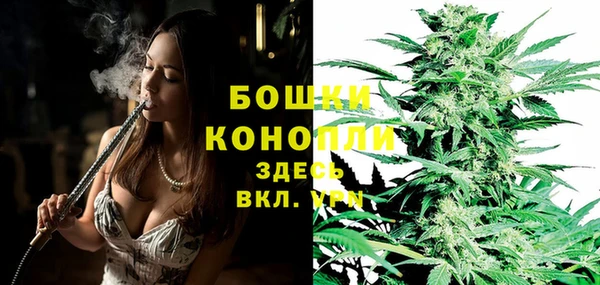 мяу мяу мука Кемь