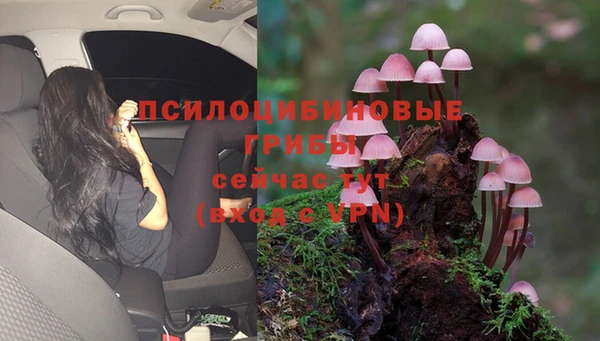 амфетамин Карпинск